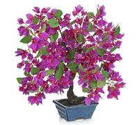 Arborus Artificial Bonsai Tree 18.5" Tall Faux Bougainvillea Flower Plants in Blue Ceramic Pot Fake Purple Silk Bougainvillea Plants Artificial Blossom Trees Indoor for Home Office Desk Decor