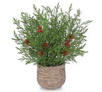 Arborus Artificial Cedar Christmas Plant in Woven Pot 13.7" Christmas Table Centerpiece Decorations Rustic Xmas Plants with Red Berries and Pine Cones for Xmas Table Centerpiece Home Mantelpiece Decor