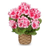 Arborus Artificial Flower in Woven Pot 13.7" Faux Pink Geraniums in Rustic Basket Realistic Silk Flowers Arrangement Indoor Decorative Artificial Flowering Plant for Home Living Room Tabletop Décor