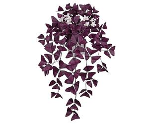 Arborus Artificial Oxalis Triangularis Trailing Plants 21.6" Fake Purple Shamrock Plant in White Pot Faux Silk Purple Oxalis Plant with Flowers House Plants Indoor for Home Office Bathroom Shelf Decor