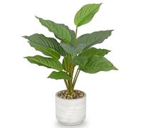 Arborus Artificial Plants Indoor in 14.5" Tall Fake Dieffenbachia Plants in Rustic Ceramic Pot Artificial Desk Plant House Plants for Living Room Office Kitchen Bathroom Home Decoration