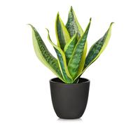 Arborus Artificial Snake Plant in Black Pot 28CM Small Artificial Sansevieria Plant Fake House Plants Potted Yellow Snake Artificial Plant for Indoor Home Kitchen Bathroom Decorations