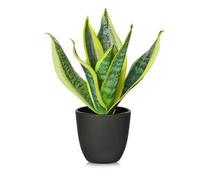 Arborus Artificial Snake Plant in Black Pot 28CM Small Artificial Sansevieria Plant Fake House Plants Potted Yellow Snake Artificial Plant for Indoor Home Kitchen Bathroom Decorations