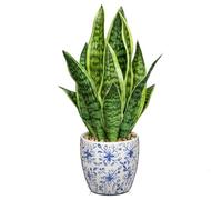 Arborus Artificial Snake Plant in Ceramic Pot 40CM Artificial Sansevieria Plant in Blue and White Porcelain Pots Fake House Plants Potted for Indoor Home Kitchen Bathroom Decor