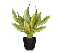 Arborus Artificial Snake Plant Indoor with Black Pot 37CM Fake Sansevieria Gold Plants Potted Desk for Home Kitchen Bathroom Office Table Decorations