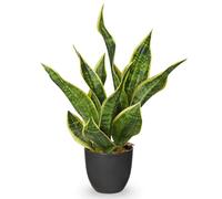 Arborus Artificial Snake Plant Indoor with Black Pot 47CM Artificial Sansevieria Plants Gold Fake Plants Potted Desk Plant for Home Kitchen Living Room Office Table Decorations