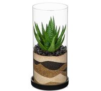 Arborus Artificial Succulent Plants in Clear Glass Vase 20 CM Small Fake Succulents Desk Plant Decorative Indoor for Office Shelf Window Sill Table Centerpiece Decoration