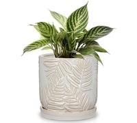 Arborus Ceramic Plant Pots 14CM White Plant Pots with Drainage Holes and Saucer Modern Embossed Leaf Ceramic Planter Indoor Plants Pot Decorative Flower Pot for Garden Succulents Cactus Orchid
