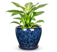 Arborus Ceramic Plant Pots Glazed Blue Ceramic Planter with Drainage Hole & Saucer 13.5cm Small Indoor Flower Pot for Succulents Cactus Houseplants Decorative Modern Planter for Home Office Decor