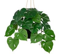 Arborus Hanging Plants Artificial Monstera with Pot 22" Fake Hanging Plant Realistic Artificial Potted Plant Faux Green Plants for Indoors Bathroom Bedroom Living Room Home Decor
