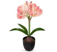 Arborus Red Amaryllis Artificial Flowers in Black Pot 17.3" Tall Fake Amaryllis Plant Indoor with Decorative Bulbs Moss Faux Flower Arrangement for Home Office Bathroom Table Holiday Décor