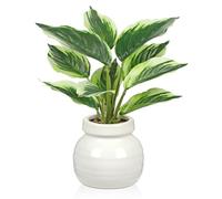 Arborus Small Artificial Plants Indoor in Ceramic Pot 11" Artificial Dieffenbachia Plants Fake Plant with White-Edged Leaf Faux Potted Desk Plants for Living Room Office Bathroom Home Decoration