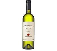 Arca Yaco Imaginate El Vino Chardonnay 750ml