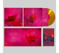 Arcade Fire, Neues Album 2025, Pink Elephant, Exklusive Metal