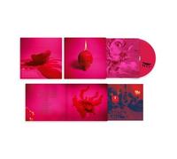 Arcade Fire - Pink Elephant Print
