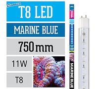 Arcadia Classica T8 Marine Blue LED Aquarium Lamp 11W - Length 750mm / 30"