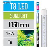 Arcadia FES38 T8 LED Lamp