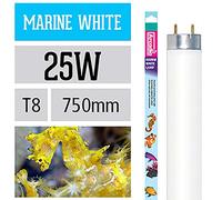 Arcadia FMW25 Marine White T8 Fluorescent Tubes 14,000 Kelvin