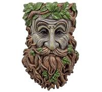 Arcadia Garden Products TF02 Elderberry Whimsical Face Planter, Outdoor Hugger, Man Spirit Sculpture for Plants, Garden Art Decor, Birdfeeder, Hangs on Trees, Fences or Walls, Brown