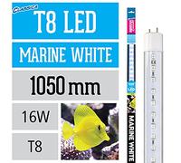 Arcadia Marine White T8 LED Lamp - 1050mm - 36w