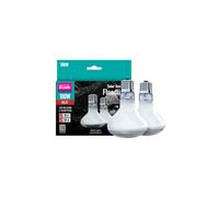 Arcadia Reptile - Solar Basking Floodlight - 100w Twin Pack - Standard E27 Fitti