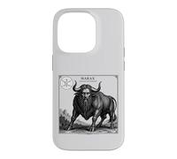 Arcane Majesty The Morax Manifest Case for iPhone 14 Pro