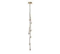 Arcdon 7 Light Cluster Ceiling Pendant Lamp Holder - French Gold