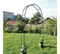 Arch for Climbing Plants, 2.3M High x 2.4M Wide, Sturdy Black Wedding Arbor with Base for Indoor & Outdoor Decoration, Ideal for Bridal Arches, Litobnx, Vert, W3.5M*H2.2M