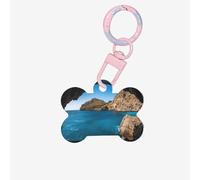 Arch in Mallorca Spain Printing 1 Pc Dog Bone Shape Id Tags Double Sided with Key Ring Craft for Pets