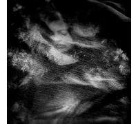 Archangel - The Bedroom Slant