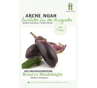 Arche Noah Organic Aubergine "Benary’s Blaukönigin" - 1 Pkg