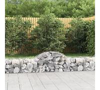 Arched Gabion Basket with Galvanised Iron, Garden Barrier, Silver, 200 x 50 x 40/60 cm