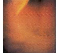 Archeo MB9 The Plain Truth