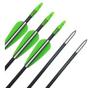Archery Fiberglass Arrows 31inch Spine 900 Hunting Target Arrows for Recurve Bow Traditional Longbow (Green, 6pcs)