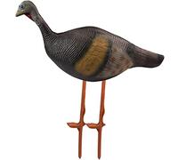Archery Target Stand 3D Animal Model Target Frame Outdoor Solid Simulation Practice Archery Target Frame Archery Bow and Arrow Target (Female Turkey)