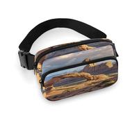 Arches National Park Fanny Pack Belt Bag with Adjustable Strap Fashion Waist Bag for Outdoor Sports Hiking, white, 20x13cm, Full Printed Waist Bag