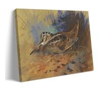 Archibald Thorburn Painter's《Woodcock》Art Poster Canvas Wall Art Picture Prints Hanging Photo Idea Decor 20x30inch(50x75cm)