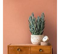 Architects Paper Arcade 393312 Non-Woven Wallpaper Plain 10.05 m x 0.53 m Made in Germany Orange