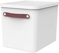 Rotho MyPaper Archive box document organiser. MY PAPER Plus, Plastic (PP) BPA-free, white/blue, (40.0 x 29.2 x 29.8 cm)