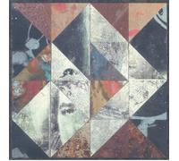 ARCHIVE - Glass Minds - LIMITED ORANGE VINYL 2XLP