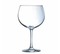 Arcoroc Juniper Gin Cocktail Glasses in Clear Glass - 24 oz. - Pack of 6