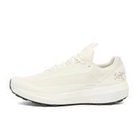 Arc'teryx Men's Norvan LD 4 Gore-Tex Sneakers Arctic Silk/Arctic Silk