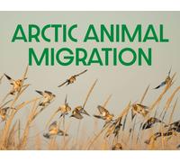 Arctic Animal Migration : English Edition
