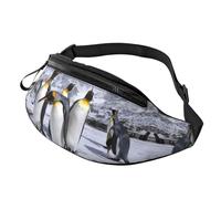 Arctic Animals Penguins Waist Bag Bumbags for Men Women, Print Polyester Waist Pack for Travel Walking Sport with Adjustable Strap