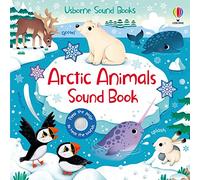 Arctic Animals Sound Book – Sound Book – Usborne