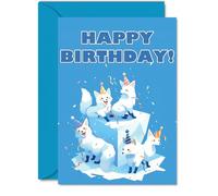 Arctic Fox Birthday Cards for Her Him - Party Animals Pyramid - Happy Birthday Card for Mum Dad Brother Sister Auntie Uncle Cousin Friend Family Colleague A5 Bday Greeting Cards