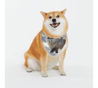 Arctic Fox Dog Bandanas - Adjustable Pet Scarf, for Small to Large Dog Puppy Cat, Black