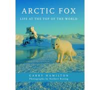 Arctic Fox: Life at the Top of the World