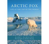Arctic Fox: Life at the Top of the World