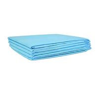 Arctic Hayes Absorbent 5 Sheets, 1.5 Litre Capacity